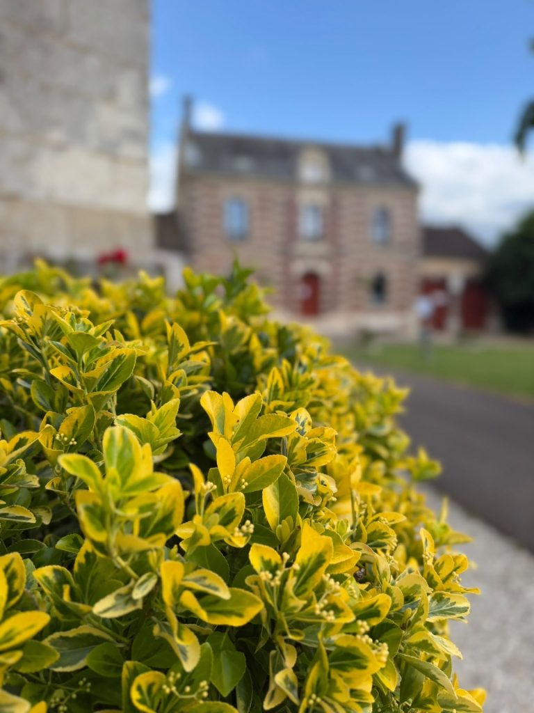 Concours des maisons fleuries